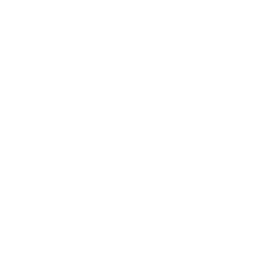 Meson de Fierro